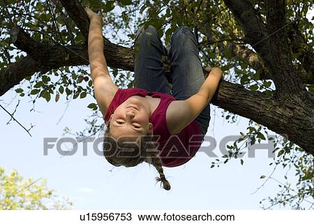Stock Image - Twelve year old girl hanging upside down from branch of crabapple tree, Winnipeg, Canada. Fotosearch