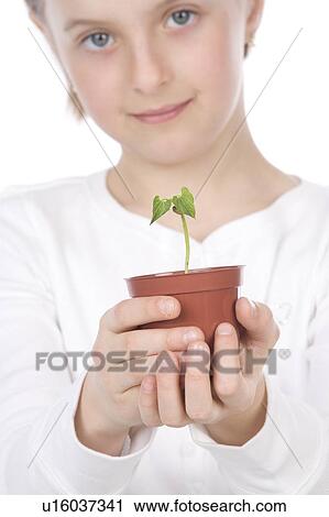 9 year old girl with small potted plant in her hands View Large Photo Image Stock Image - 9 year old girl with small potted plant in her hands. Fotosearch