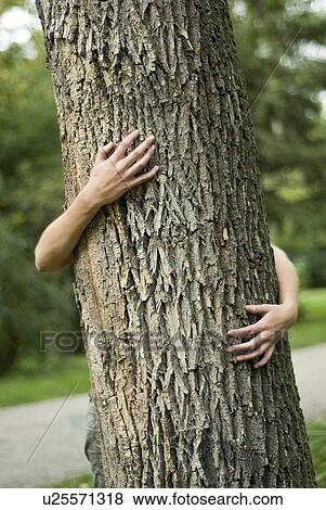 Hands embracing tree trunk from behind, Munson Park, Winnipeg, Canada View Large Photo Image Stock Photo - Hands embracing tree trunk from behind, Munson Park, Winnipeg, Canada. Fotosearch