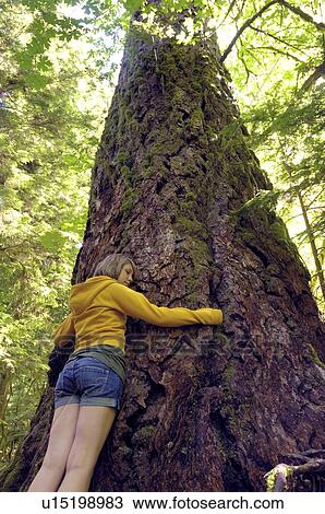 Stock Image - Teen girl hugging Douglas Fir, Vancouver Island, Canada. Fotosearch