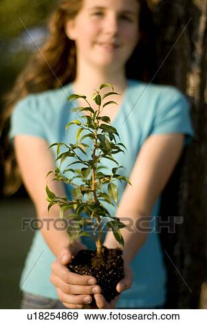 Stock Photo - Twelve year old girl holding small tree outward, beside large tree, Assiniboine Park, Winnipeg, Canada. Fotosearch