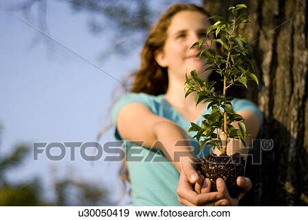 Stock Photo - Twelve year old girl holding small tree outward, beside large tree, Assiniboine Park, Winnipeg, Canada. Fotosearch