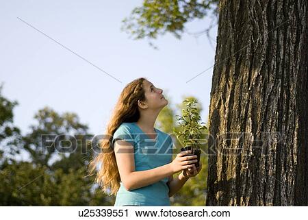 Twelve Year Old Girl Holds Small Tree Looking Upward To Large