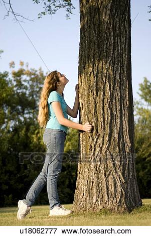 Twelve year old girl looking up trunk of large tree in Assiniboine Park, Winnipeg, Canada View Large Photo Image Stock Photo - Twelve year old girl looking up trunk of large tree in Assiniboine Park, Winnipeg, Canada. Fotosearch