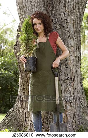 Woman stands beside large tree holding shovel and smaller tree, Winnipeg, Manitoba, Canada View Large Photo Image Stock Image - Woman stands beside large tree holding shovel and smaller tree, Winnipeg, Manitoba, Canada. Fotosearch