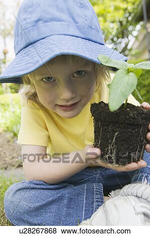 Young Girl Holding a Bedding Plant Showing Dirt and Roots View Large Photo Image Stock Photo - Young Girl Holding a Bedding Plant Showing Dirt and Roots. Fotosearch