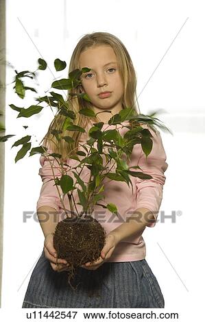 Young girl with tree sapling View Large Photo Image Stock Photo - Young girl with tree sapling. Fotosearch