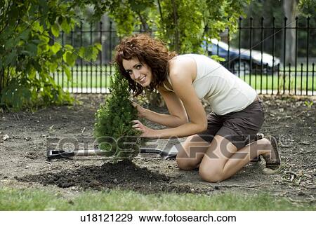 Young woman beside freshly planted tree, Munson Park, Winnipeg, Canada View Large Photo Image Stock Photo - Young woman beside freshly planted tree, Munson Park, Winnipeg, Canada. Fotosearch