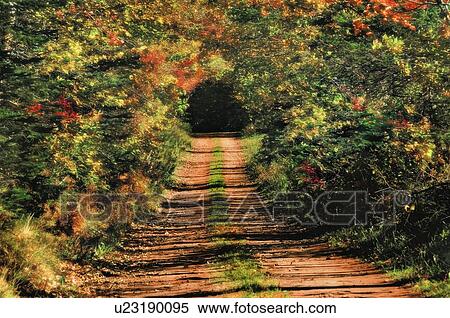 Autumn leaves surround Heritage Road, PEI View Large Photo Image Stock Photography - Autumn leaves surround Heritage Road, PEI. Fotosearch