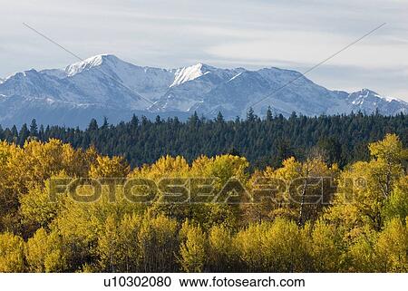 Fall colour with snowcapped mountains in the background, Clinton, BC, Canada View Large Photo Image Stock Image - Fall colour with snowcapped mountains in the background, Clinton, BC, Canada. Fotosearch