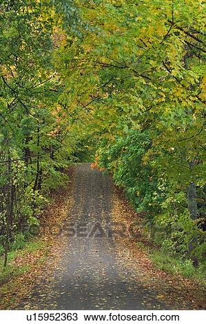 Lawler Road - Pelham, Ontario, Canada View Large Photo Image Stock Image - Lawler Road - Pelham, Ontario, Canada. Fotosearch
