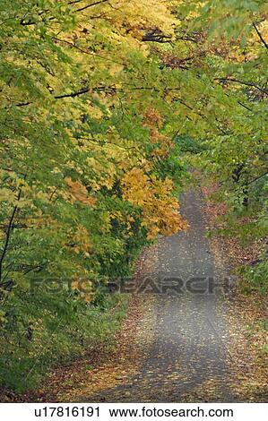 Stock Image - Lawler Road - Pelham, Ontario, Canada. Fotosearch