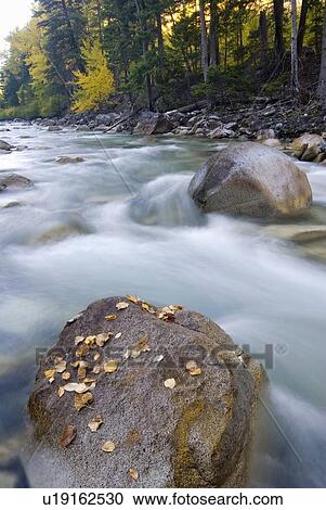 Leaves sit on a rock as a river moves by with fall colours in the background, Cayoosh River, Lillooet, BC, Canada View Large Photo Image Stock Image - Leaves sit on a rock as a river moves by with fall colours in the background, Cayoosh River, Lillooet, BC, Canada. Fotosearch