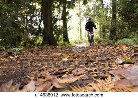 stanley park mountain bike trails