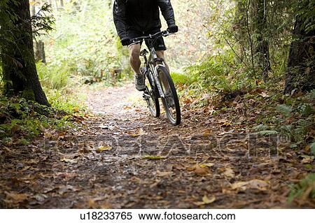 stanley park mountain bike trails