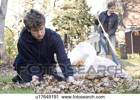 Stock Image - Teen brother and sister raking, Winnipeg, Canada. Fotosearch