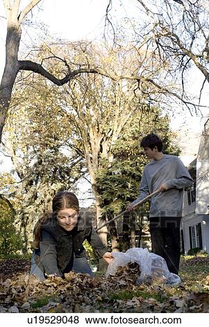 Stock Photo - Teen brother and sister raking, Winnipeg, Canada. Fotosearch