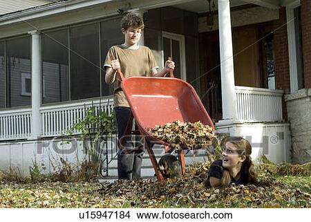 Picture - Teen brother dumping leaves on sister, Winnipeg, Canada. Fotosearch