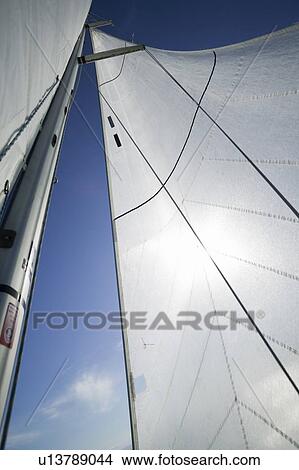 Sail racing, West Vancouver Yacht Club, West Vancouver, BC Canada View Large Photo Image Picture - Sail racing, West Vancouver Yacht Club, West Vancouver, BC Canada. Fotosearch