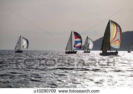 Sail racing, West Vancouver Yacht Club, West Vancouver, BC Canada View Large Photo Image Stock Photo - Sail racing, West Vancouver Yacht Club, West Vancouver, BC Canada. Fotosearch