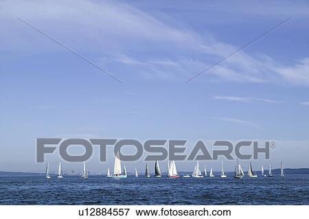 Sail racing, West Vancouver Yacht Club, West Vancouver, BC Canada View Large Photo Image Stock Photo - Sail racing, West Vancouver Yacht Club, West Vancouver, BC Canada. Fotosearch