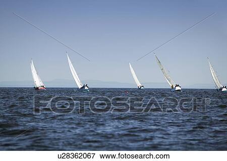 Stock Photo - Sail racing, West Vancouver Yacht Club, West Vancouver, BC Canada. Fotosearch