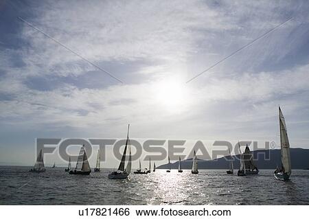 Stock Photograph - Sail racing, West Vancouver Yacht Club, West Vancouver, BC Canada. Fotosearch