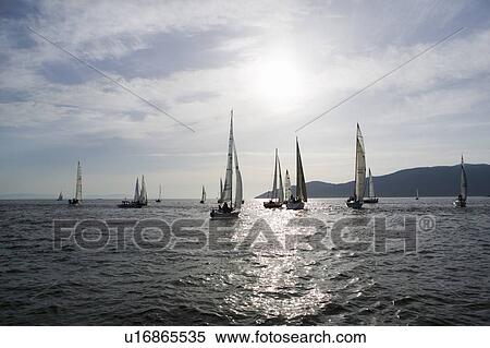Stock Photography - Sail racing, West Vancouver Yacht Club, West Vancouver, BC Canada. Fotosearch