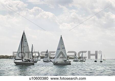 Sailing boats in Toronto Harbour View Large Photo Image Stock Image - Sailing boats in Toronto Harbour. Fotosearch