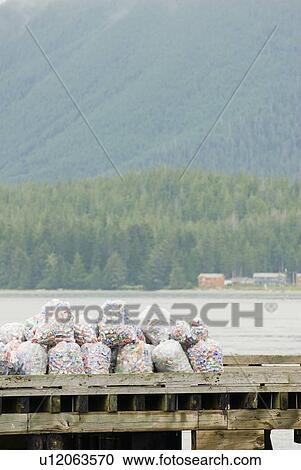 Bags of aluminum cans sit on the dock in Tofino, BC waiting to be recycled. View Large Photo Image Stock Image - Bags of aluminum cans sit on the dock in Tofino, BC waiting to be recycled.. Fotosearch