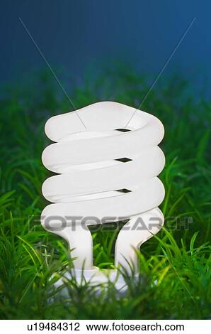 Energy-saving light bulb. View Large Photo Image Stock Image - Energy-saving light bulb.. Fotosearch