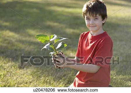 Stock Photograph - Six year old boy holding plant, Assiniboine Park, Winnipeg, Canada. Fotosearch