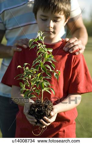 Picture - Six year old boy holding small tree for replanting, Winnipeg, Canada. Fotosearch
