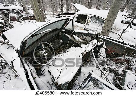 View of automobiles in junkyard, Montérégie region, Quebec View Large Photo Image Stock Image - View of automobiles in junkyard, Montérégie region, Quebec. Fotosearch