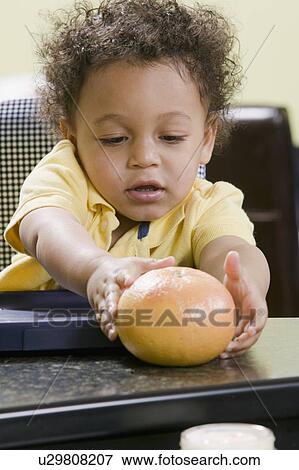 1. 5 year old Mulatto boy reaching for a grapefruit View Large Photo Image Stock Photo - 1. 5 year old Mulatto boy reaching for a grapefruit. Fotosearch