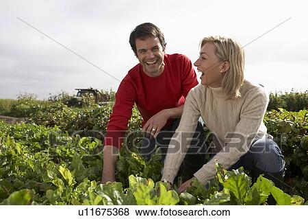 Couple kneeling in rows of vegetables on organic farm, Ladner, British Columbia View Large Photo Image Stock Photo - Couple kneeling in rows of vegetables on organic farm, Ladner, British Columbia. Fotosearch
