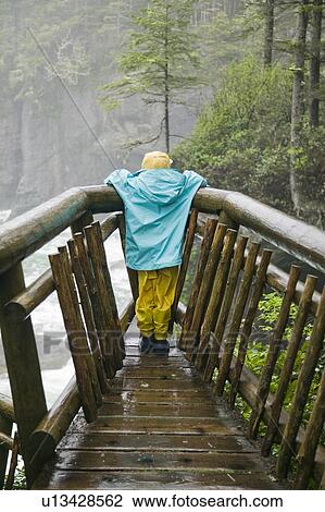 Stock Image - Girl at lookout on Cape Flattery Trail, Washington, USA. Fotosearch