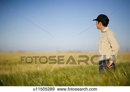 Farmer looking at field of wheat, Saskatchewan, Canada View Large Photo Image Stock Photo - Farmer looking at field of wheat, Saskatchewan, Canada. Fotosearch