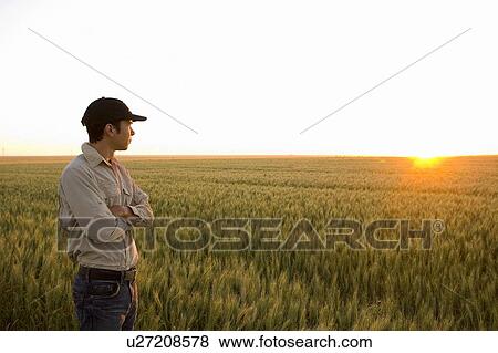 Stock Photo - Farmer standing at edge of mature wheat field, sunset, Saskatchewan, Canada. Fotosearch