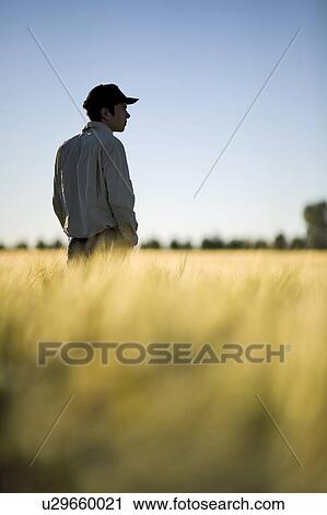 Stock Image - Farmer standing in field of wheat, Saskatchewan, Canada. Fotosearch