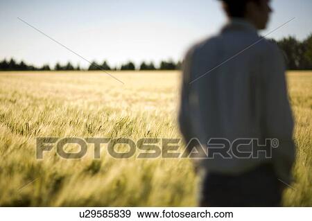 Farmer standing in field of wheat, Saskatchewan, Canada View Large Photo Image Stock Photo - Farmer standing in field of wheat, Saskatchewan, Canada. Fotosearch