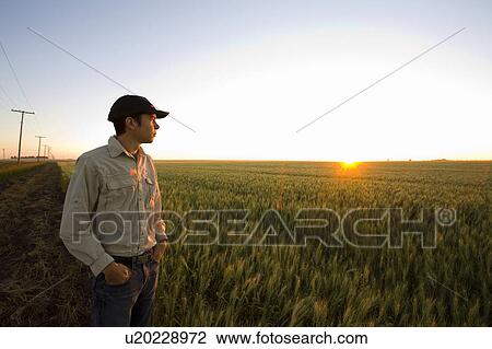 Farmer standing on edge of field of wheat, Saskatchewan, Canada View Large Photo Image Stock Image - Farmer standing on edge of field of wheat, Saskatchewan, Canada. Fotosearch