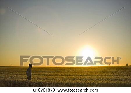 Stock Photo - Silhouette of farmer in golden glow of wheatfield at sunset, Saskatchewan, Canada. Fotosearch