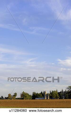 Sky scape with farm and wheat field, Drumbo, Ontario View Large Photo Image Stock Image - Sky scape with farm and wheat field, Drumbo, Ontario. Fotosearch