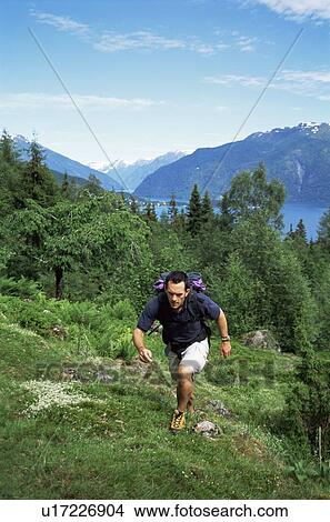 Man outdoors hiking up hill View Large Photo Image Picture - Man outdoors hiking up hill. Fotosearch
