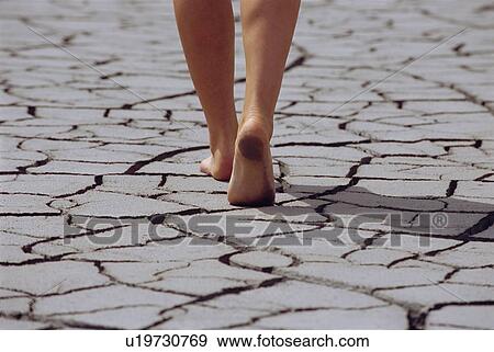 Woman's feet walking over cracked earth View Large Photo Image Stock Photo - Woman's feet walking over cracked earth. Fotosearch