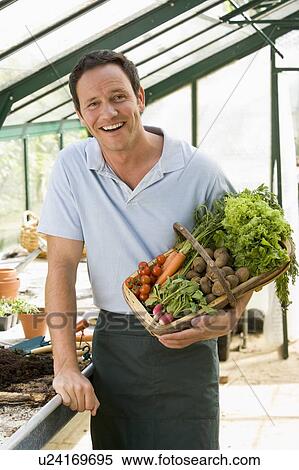 Stock Photography - Man in greenhouse holding basket of vegetables smiling. Fotosearch