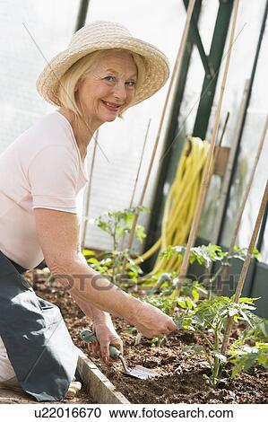 Stock Image - Woman in greenhouse planting seeds smiling. Fotosearch