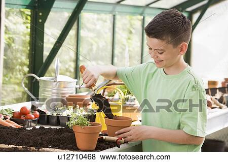 Young boy in greenhouse putting soil in pot smiling View Large Photo Image Stock Photo - Young boy in greenhouse putting soil in pot smiling. Fotosearch