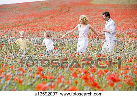 Family walking in poppy field holding hands smiling View Large Photo Image Stock Photo - Family walking in poppy field holding hands smiling. Fotosearch